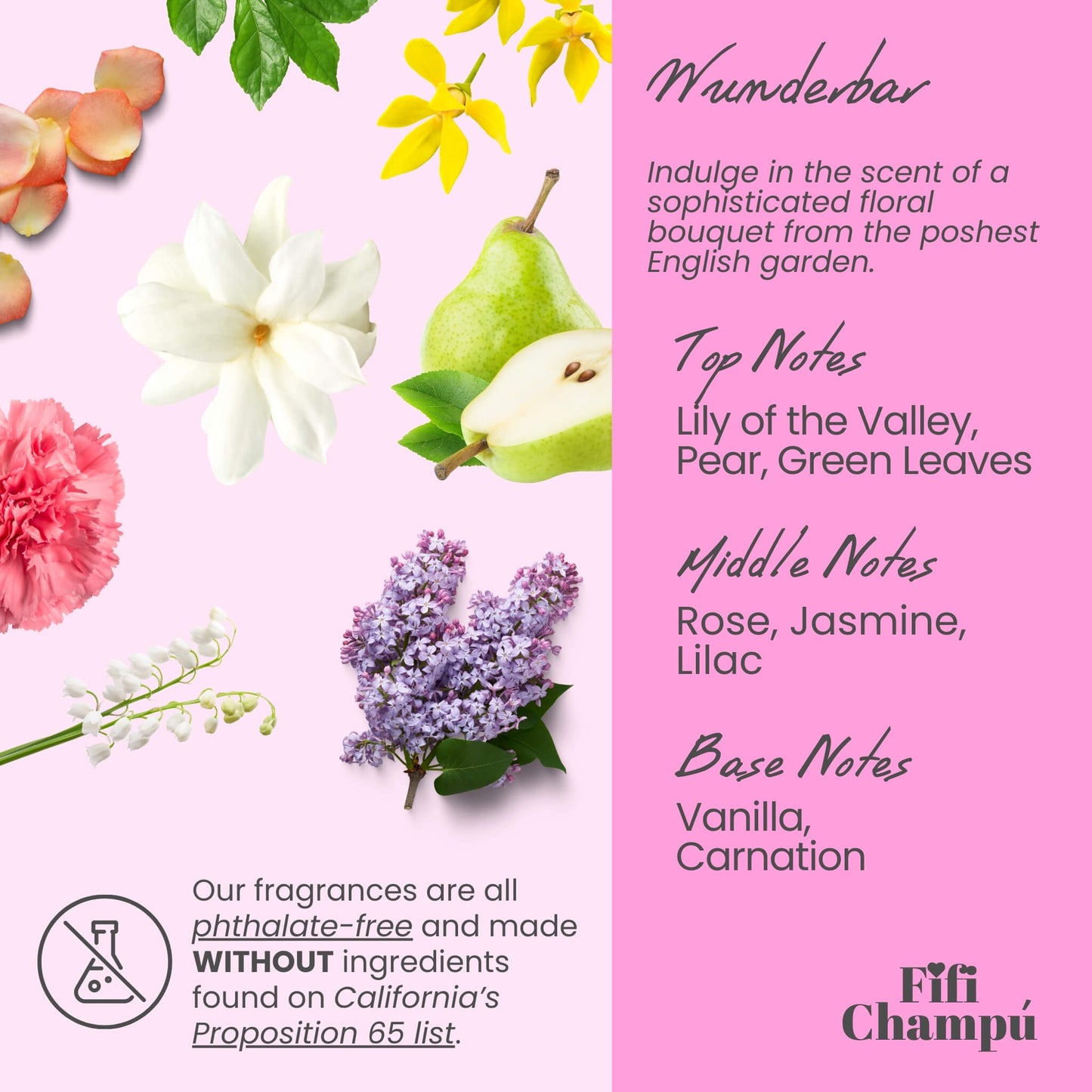 Wunderbar Shampoo Bar – Hydrating & Shine-Boosting